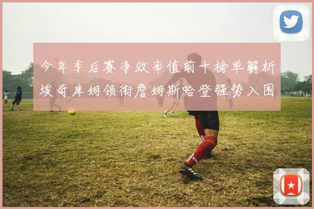 今年季后赛净效率值前十榜单解析埃奇库姆领衔詹姆斯哈登强势入围