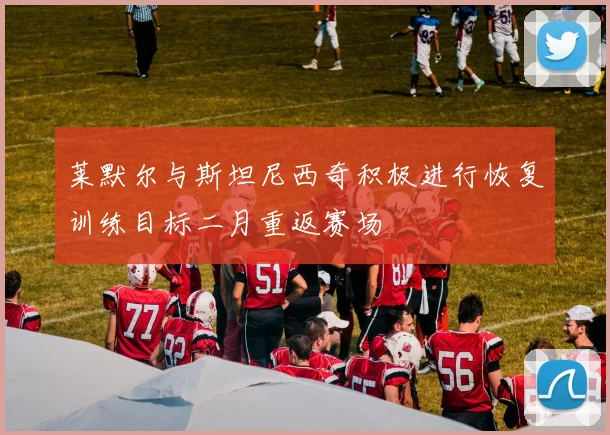 莱默尔与斯坦尼西奇积极进行恢复训练目标二月重返赛场